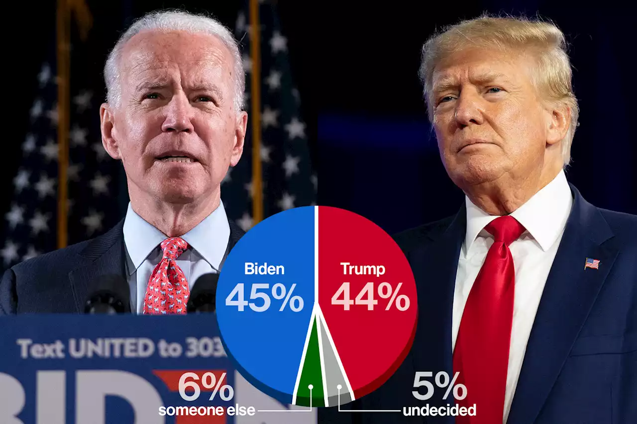 Biden edges out Trump in potential 2024 matchup: poll