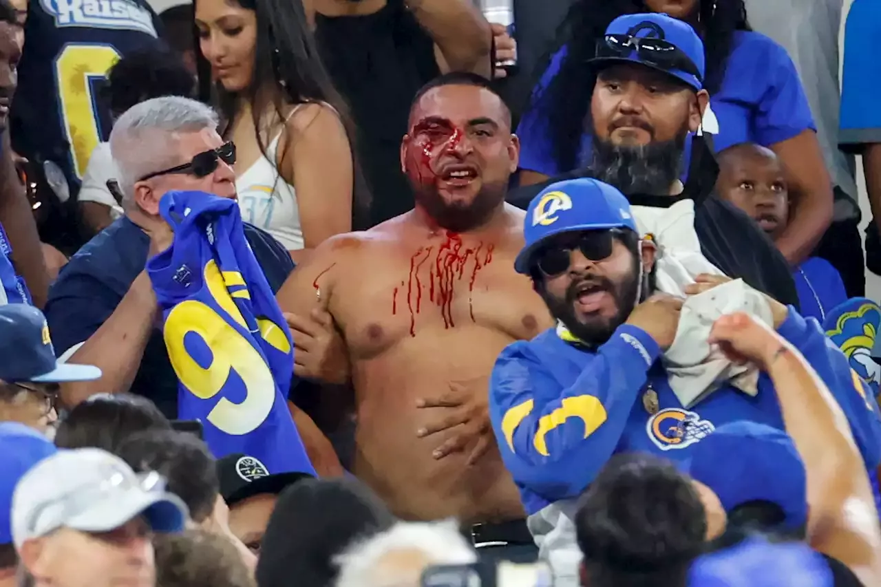 Glorifying vulgar fans further ruining the 'NFL Experience'