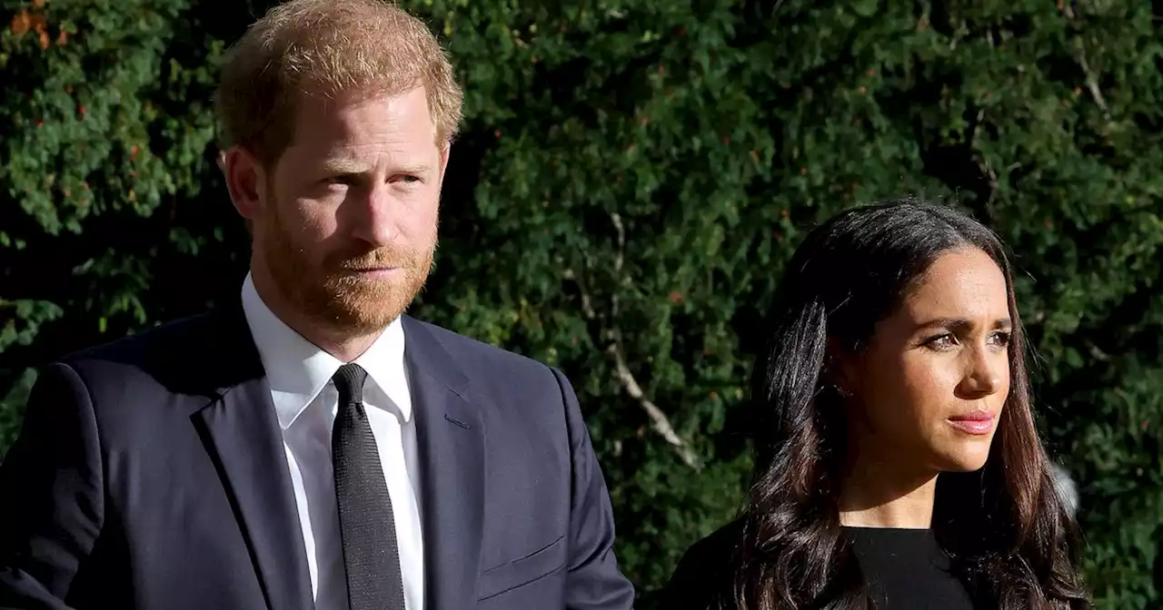 Harry and Meghan 'was like working for a couple of teenagers', claims new book