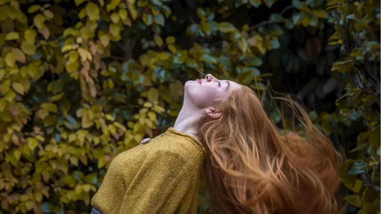 Capelli, i rimedi più efficaci contro la caduta autunnale