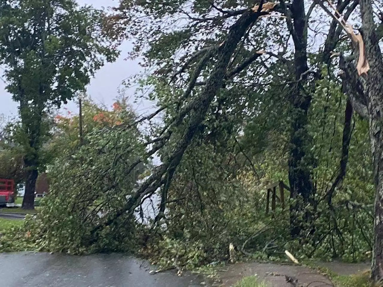 Fiona causes extensive damage in Pictou County | SaltWire