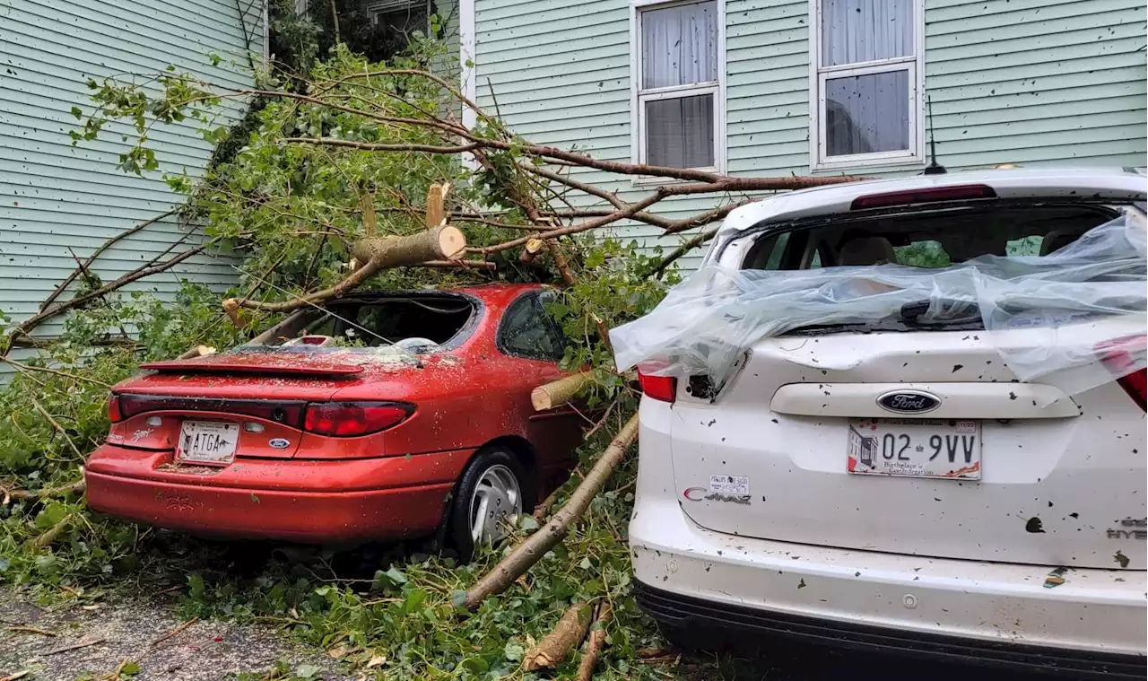 Fiona rips up trees, shuts off power for most of P.E.I. storm continues into Saturday | SaltWire