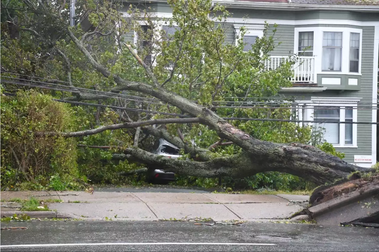 Floods, uprooted trees and 400,000 customers without power as Fiona lashes Nova Scotia | SaltWire