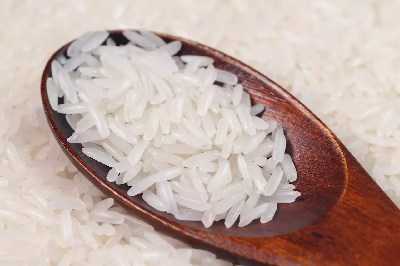 Researchers Develop a Better, Less Toxic Type of Rice