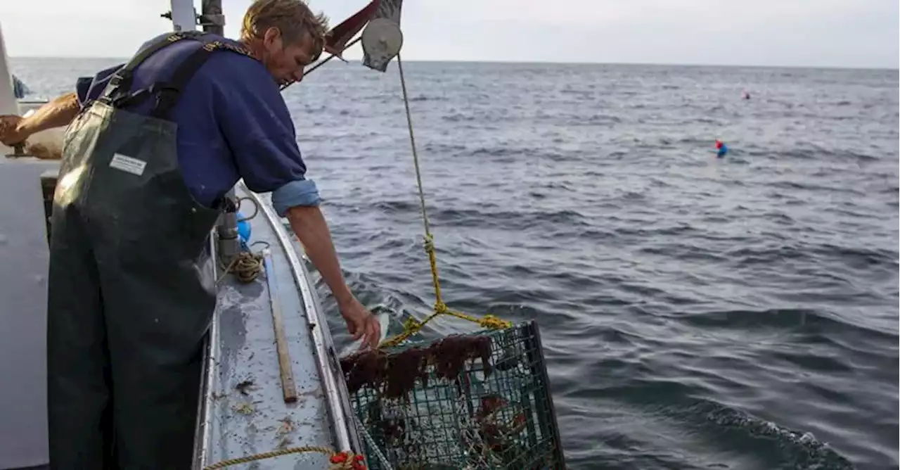 Pesca, rinnovo del contratto per gli addetti del settore marittimo