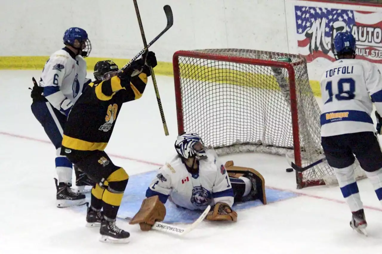 Cubs fall 3-1 to the Eagles in Michigan