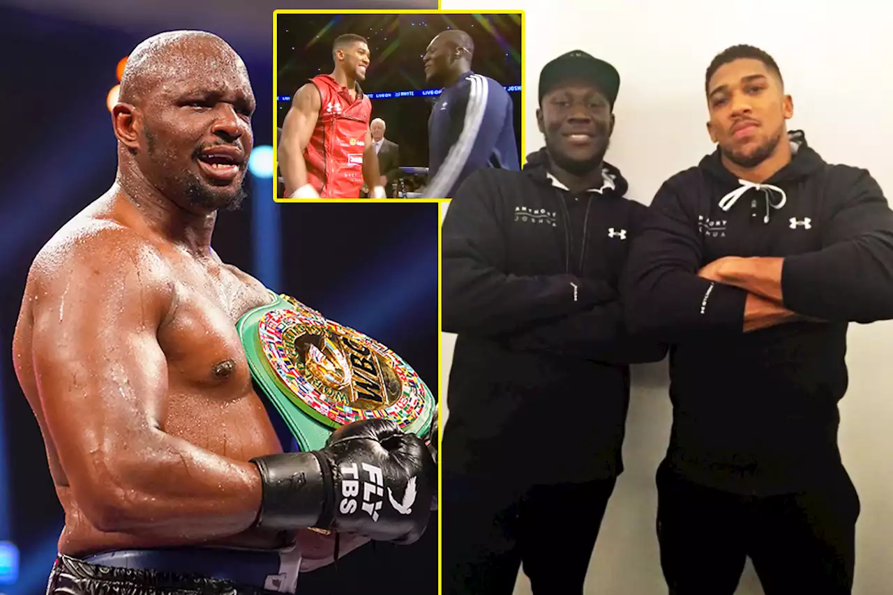 Stormzy shouts out Dillian Whyte in new single after pair previously had serious beef