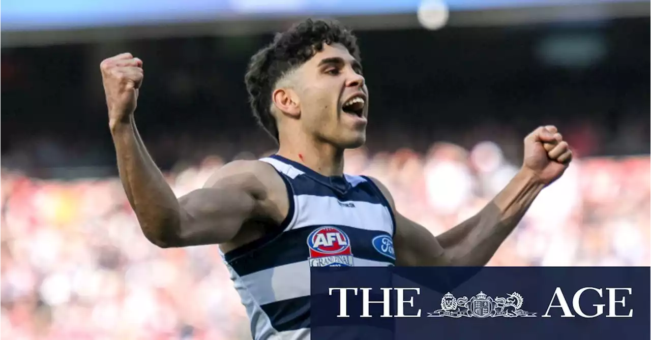 Stengle’s haul, Selwood’s icing on the cake: The grand final moments that mattered