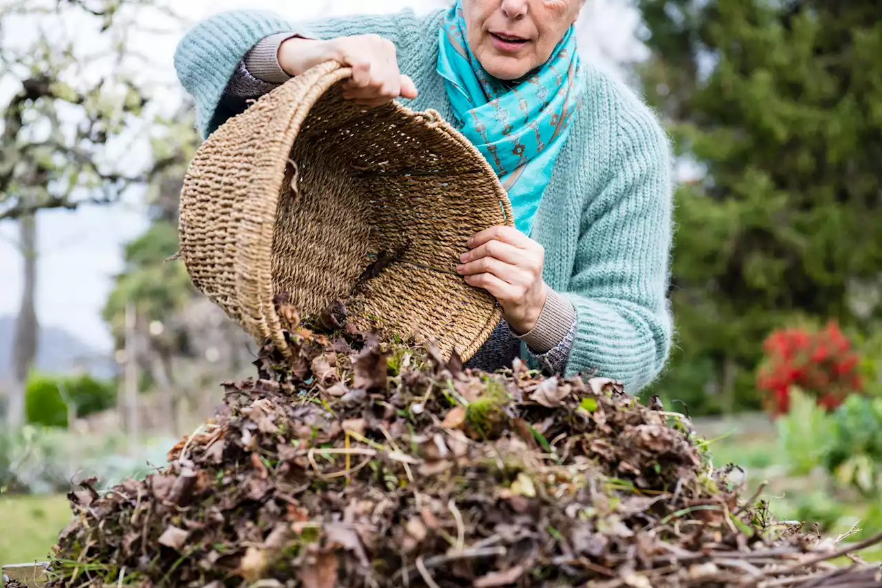 I’m a gardening expert, here’s how to prepare your garden for the cold weather