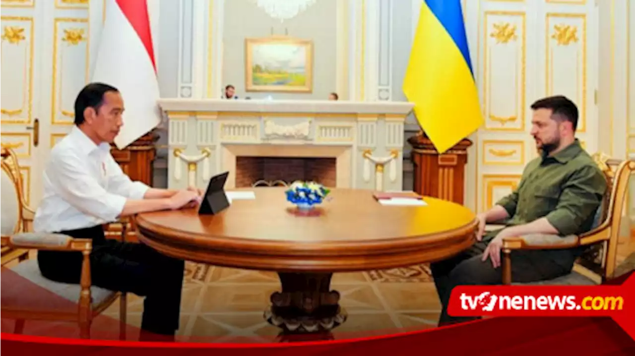 Pakar Apresiasi Presiden Jokowi dalam Membawa Misi Perdamaian Rusia-Ukraina di Panggung Dunia