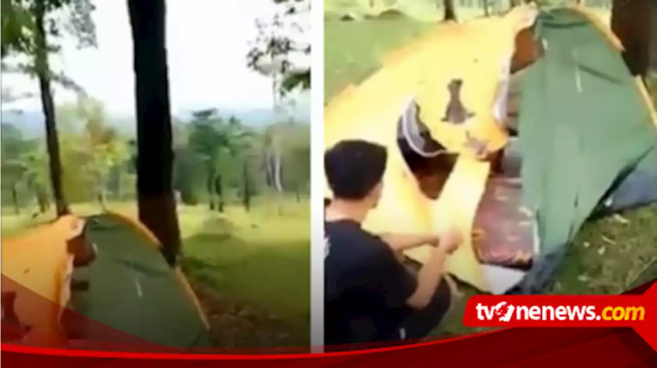 Viral Sepasang Remaja Tersambar Petir Saat sedang Berkemah di Kawasan Bukit Waruwangi Serang, 1 Kor