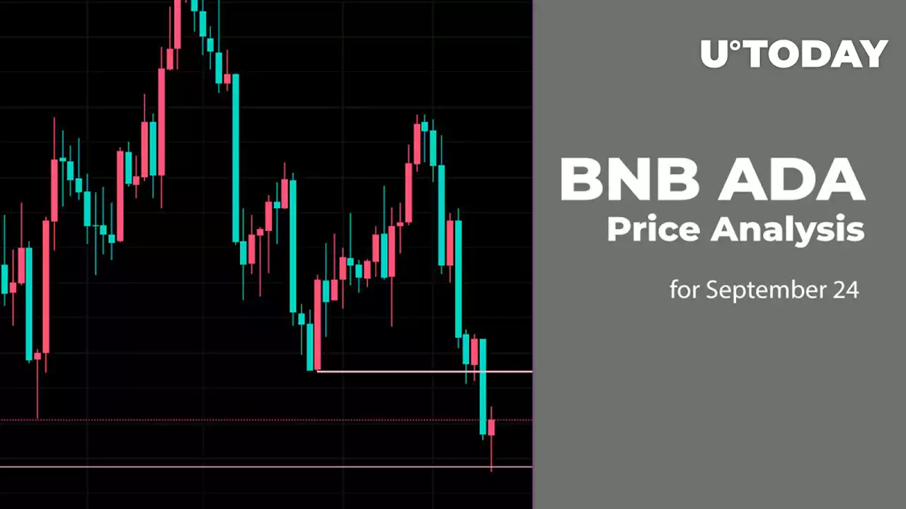 BNB and ADA Price Analysis for September 24