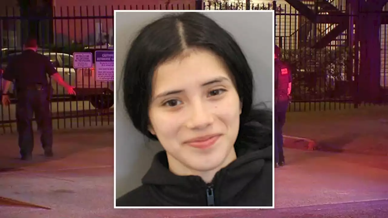 20-year-old woman in custody after allegedly shooting 2 sisters during argument, records show