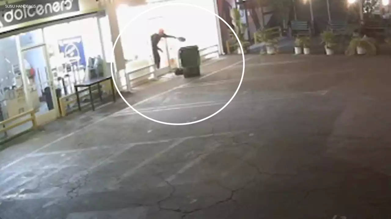 Video shows suspect using waste bin to steal handbags from Santa Monica store