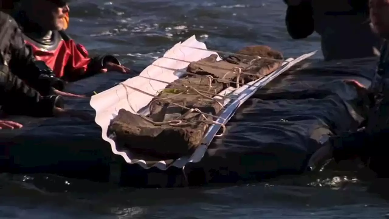 3,000-year-old canoe found in Wisconsin lake is oldest ever found in Great Lakes region