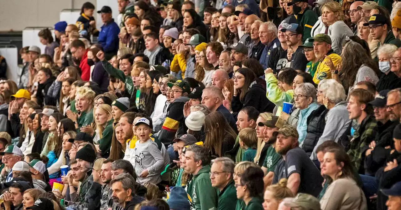 ‘An amazing night’: UAA hockey returns to the ice after program was nearly eliminated