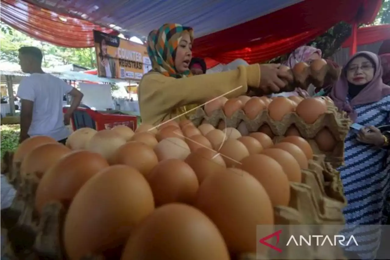 Memenuhi protein hewani lewat peningkatan konsumsi ayam dan telur