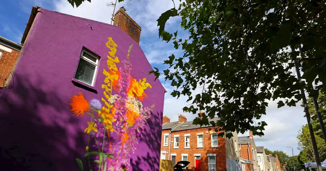 New mural unveiled in the Holyland to 'bring community together'