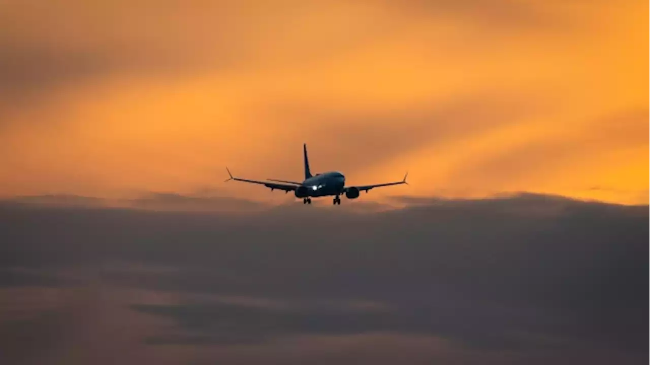 Latest airline Canada Jetlines is set to take off - BNN Bloomberg