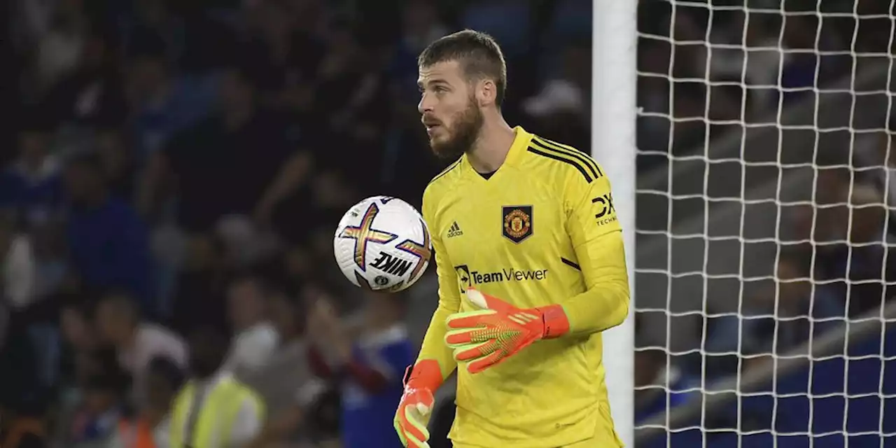 Manchester United Bakal Perpanjang Kontrak David De Gea? - Bola.net