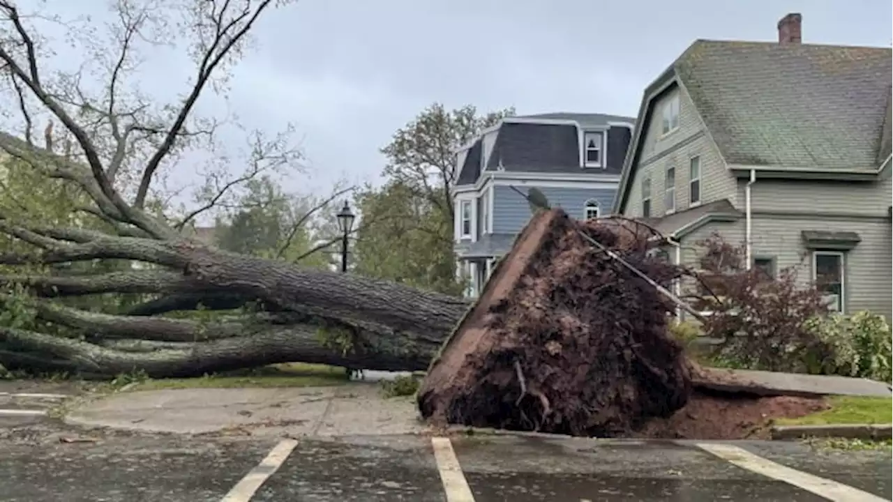 Fiona leaves most of P.E.I. without power; hurricane warning still in effect | CBC News