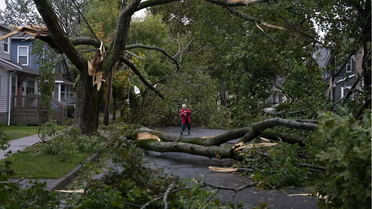 Officials across Eastern Canada set to begin assessing full scope of storm damage