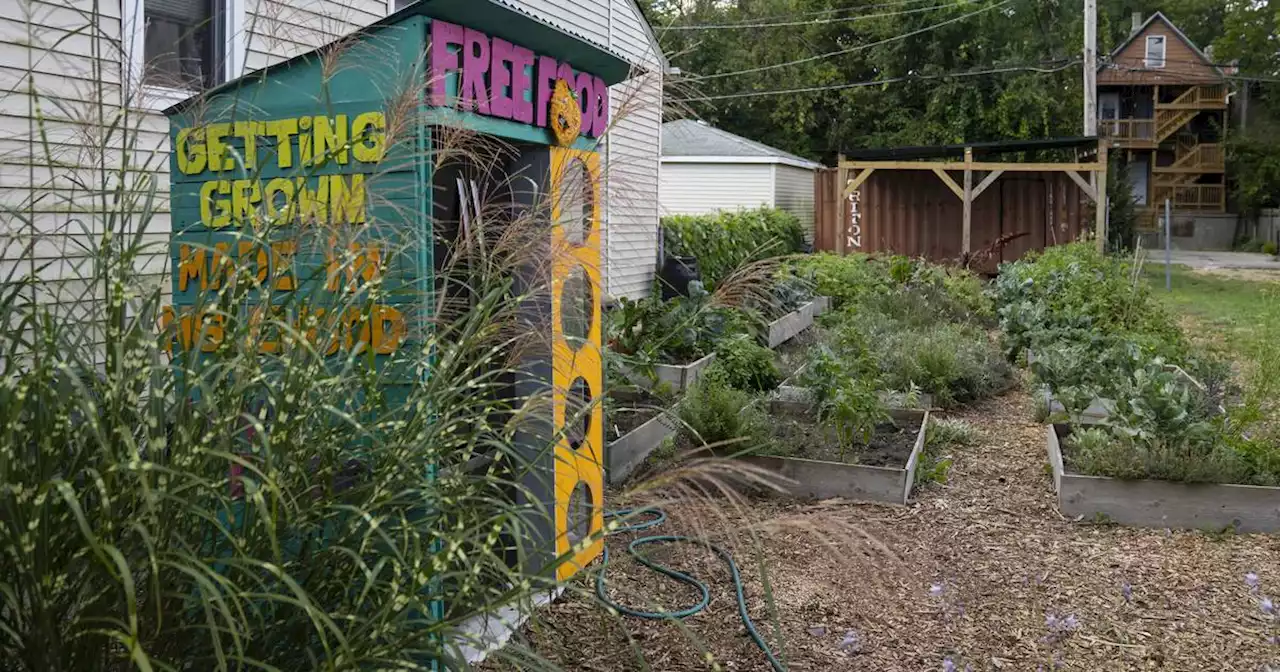 Power returns to Englewood’s Love Fridge with solar panel installation