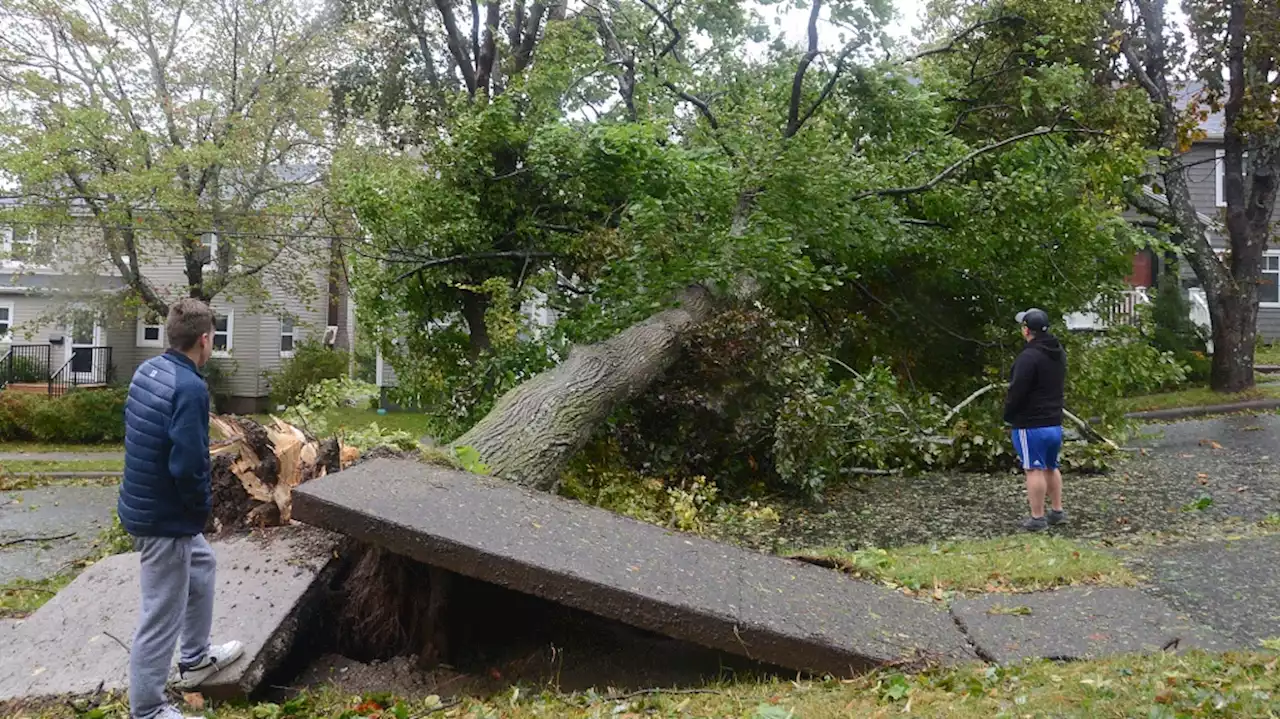 N.S. premier calls extensive damage from Fiona 'heartbreaking,' says restoring power is top priority