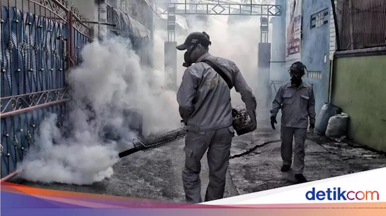 Kasus Mulai Meningkat, Kemenkes RI: Waspadai DBD di Musim Hujan!