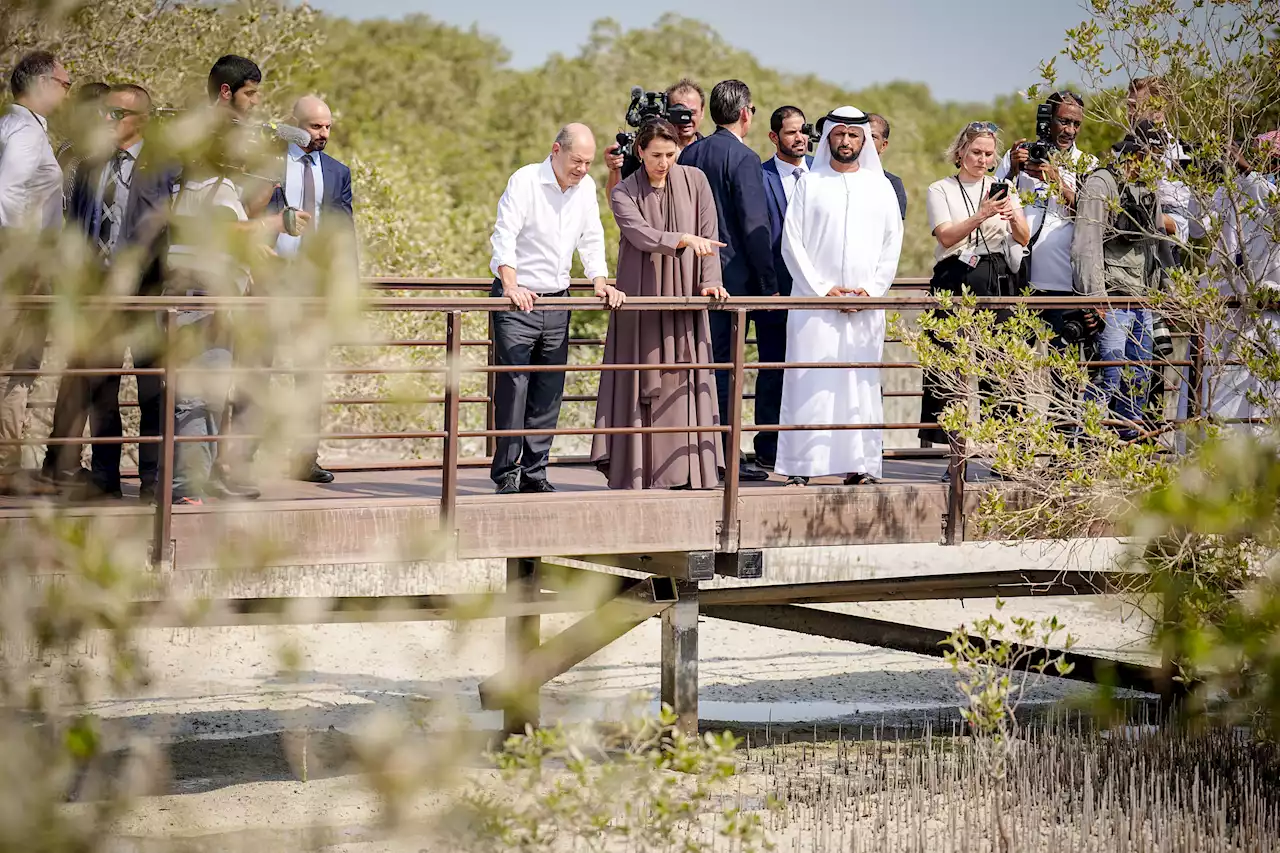 Scholz-Reise in Golfstaaten - Deutschland erhält Flüssiggas aus Vereinigten Arabischen Emiraten