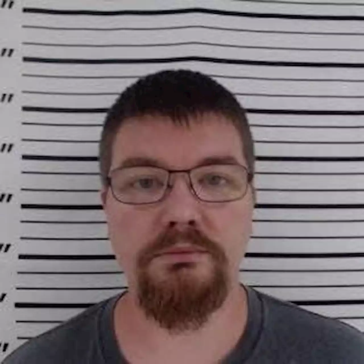 Ozark man charged with child sex crimes in Florida