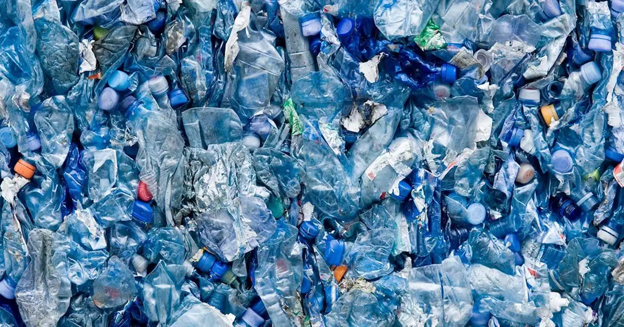 Scientists Claim New Enzyme Can Break Down Plastic in a Single Week