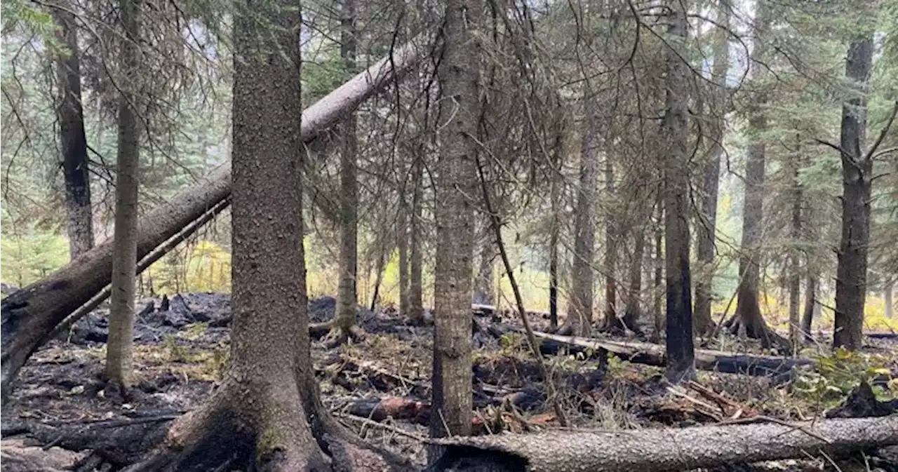 Battleship Mountain wildfire in northern B.C. now considered held | Globalnews.ca