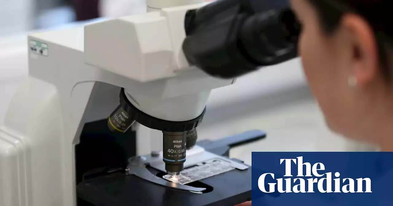 Queensland lab at the centre of DNA testing failures allegedly beset by workplace conflicts