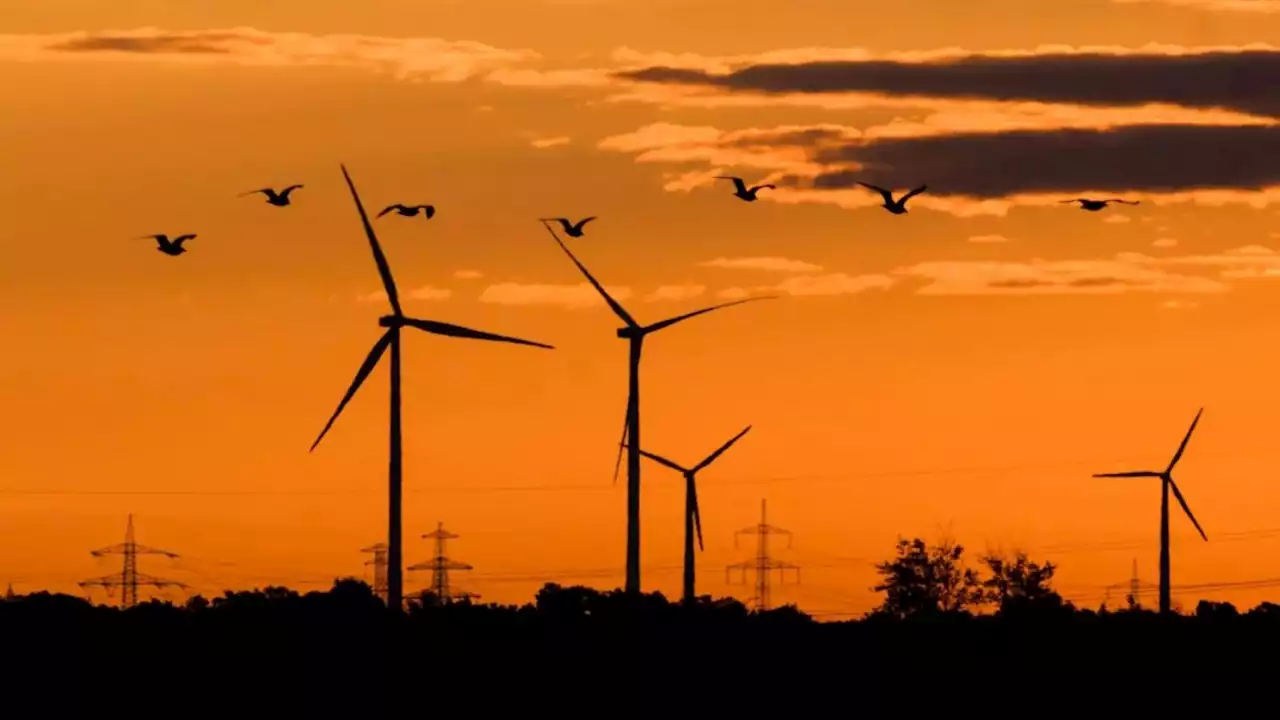 Strompreise: Nord-süddeutscher Krach um Windstrom