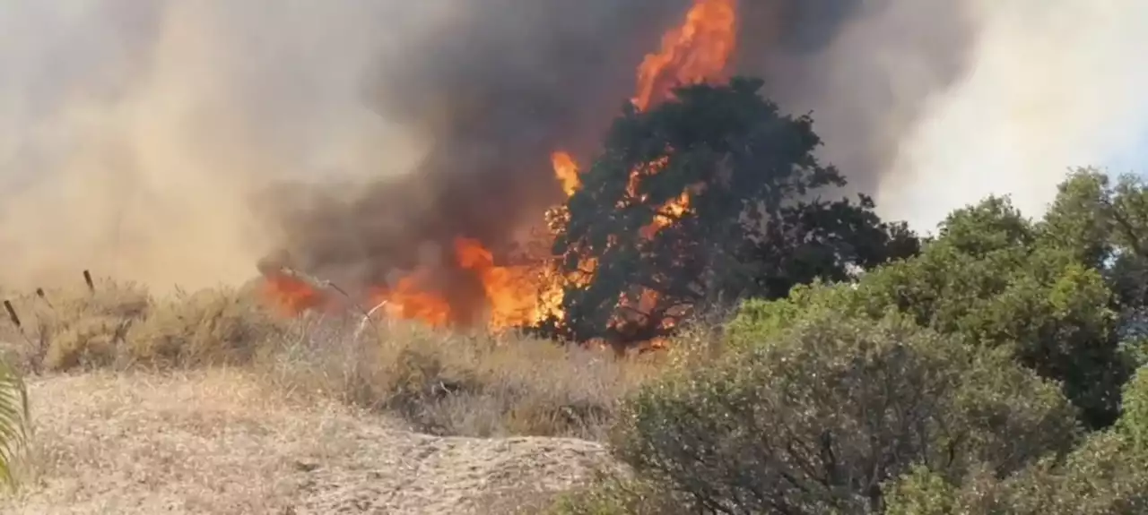 Calabasas brush fire’s growth stopped