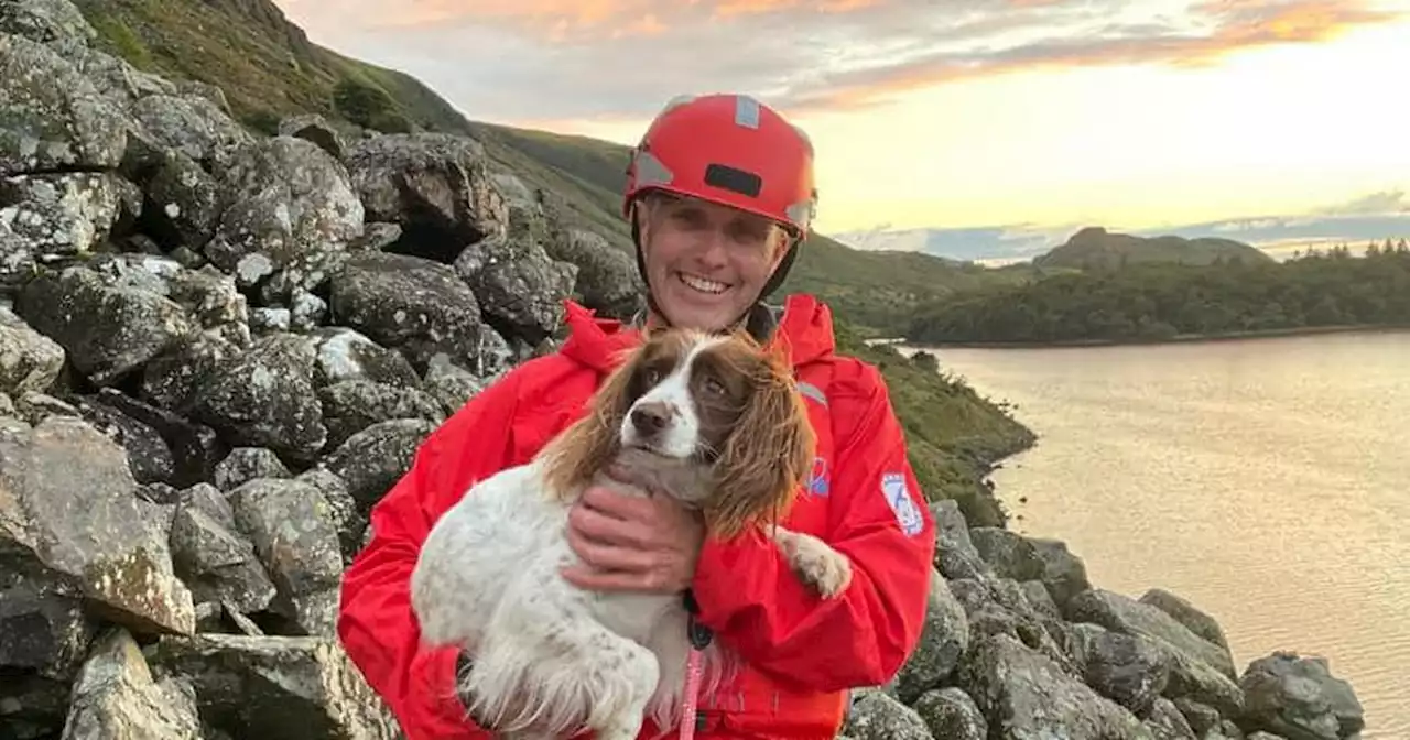 Rescuers save sick dog carrying the pooch down Lake District boulder field