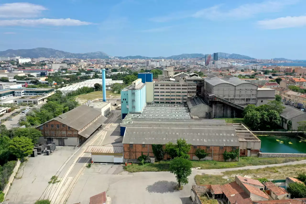 Vidéo | La nouvelle vie de l’usine Saint-Louis Sucre transformée en studios de cinéma