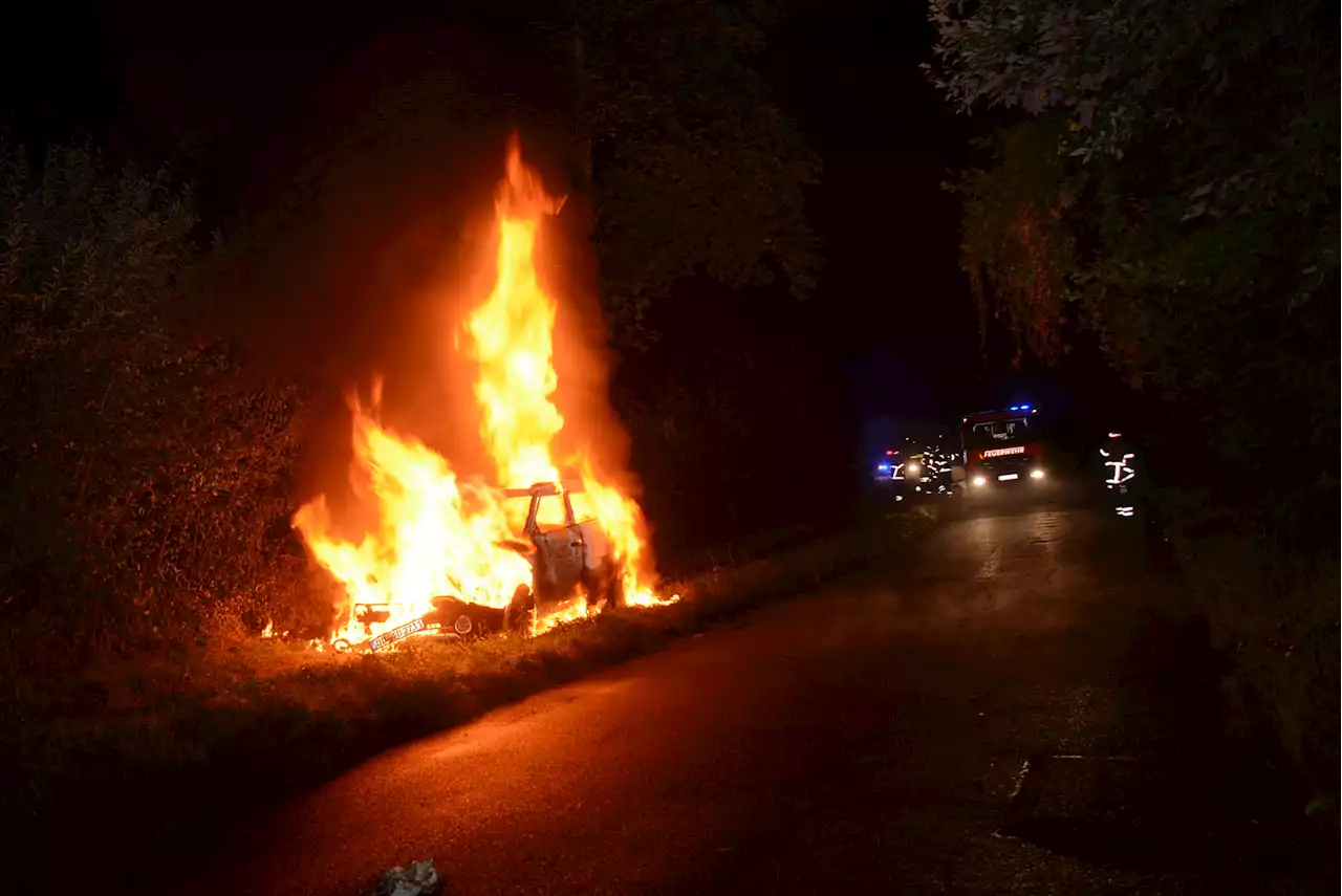 Meterhohe Flammen: Großeinsatz am Naturschutzgebiet