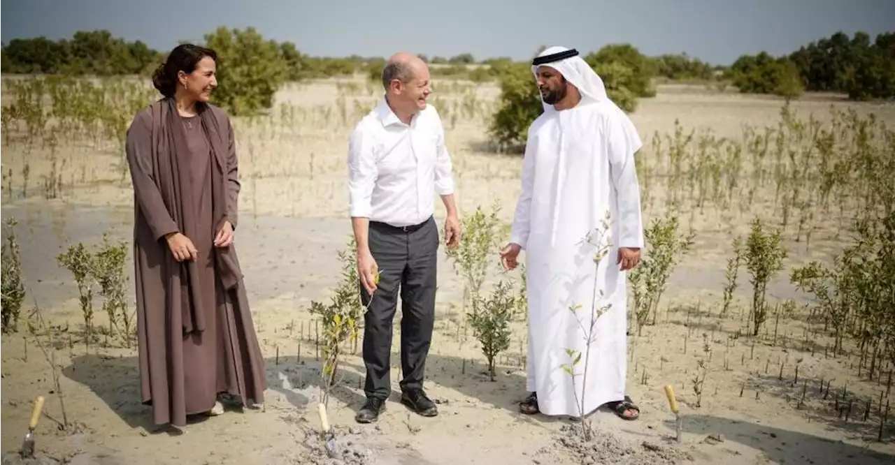 Neue Öl- und Gas-Lieferanten: Scholz will engere Energie-Kooperation mit Emiraten