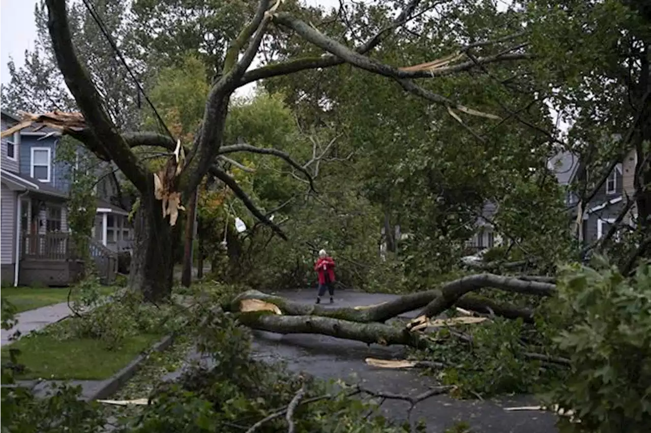 Officials across Eastern Canada set to begin assessing full scope of storm damage | National Newswatch