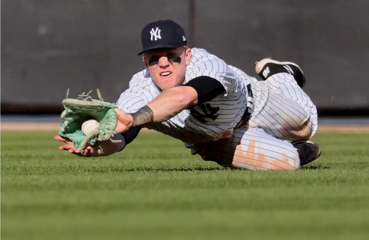 New Yankee Harrison Bader shows why he’s a Gold Glover with spectacular play