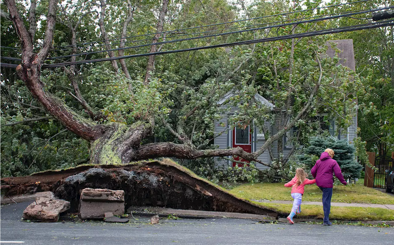 Nova Scotia requests federal disaster assistance, military aid amid 'shocking' devastation left by Fiona | SaltWire