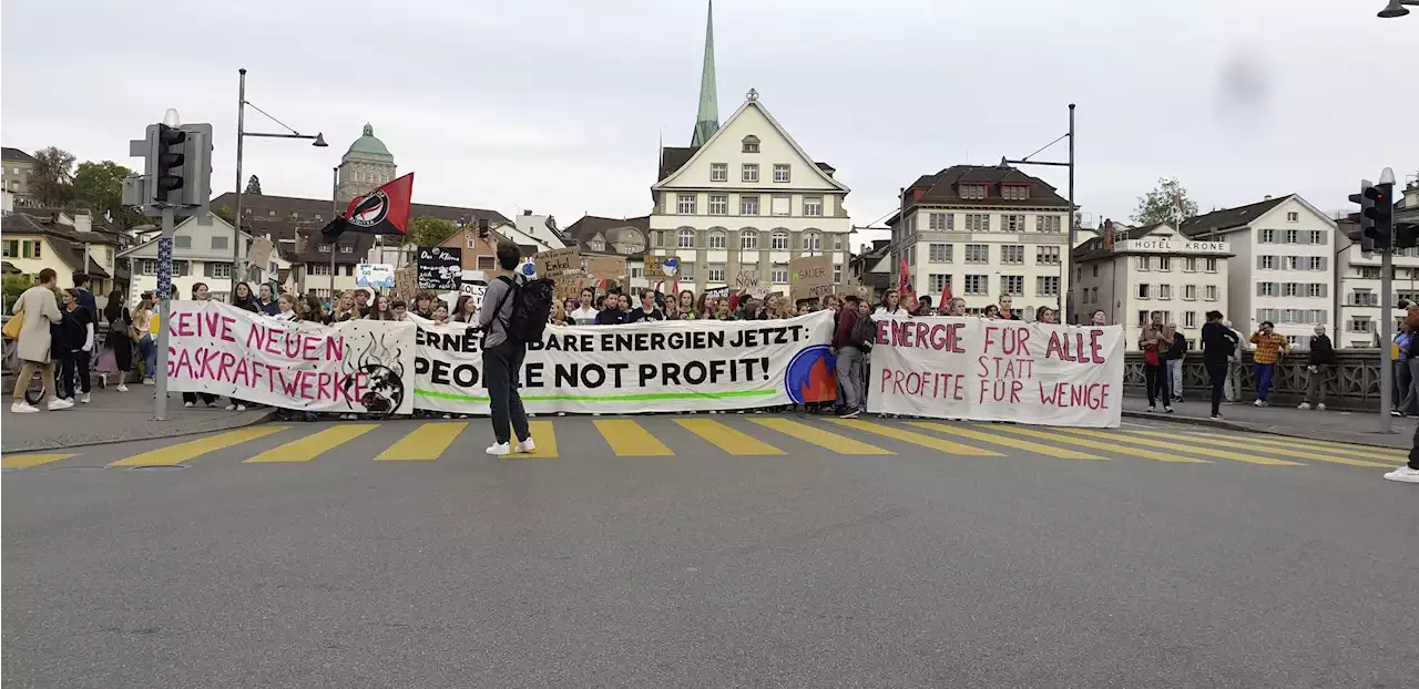 Tausende für das Klima auf der Strasse - Schweizer Bauer