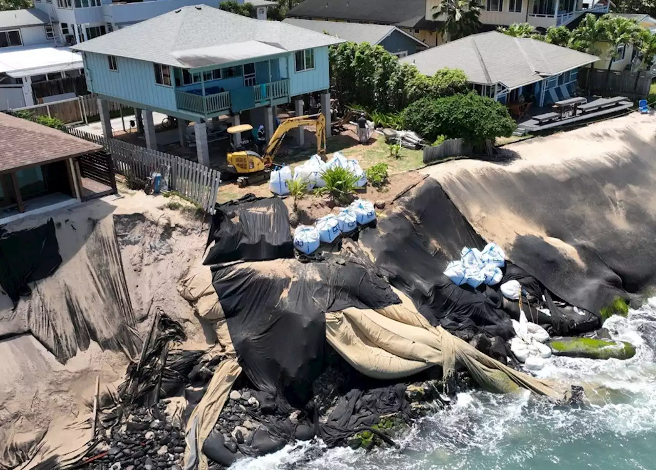 Hawaii beaches threatened by ‘desperate’ shoreline structures