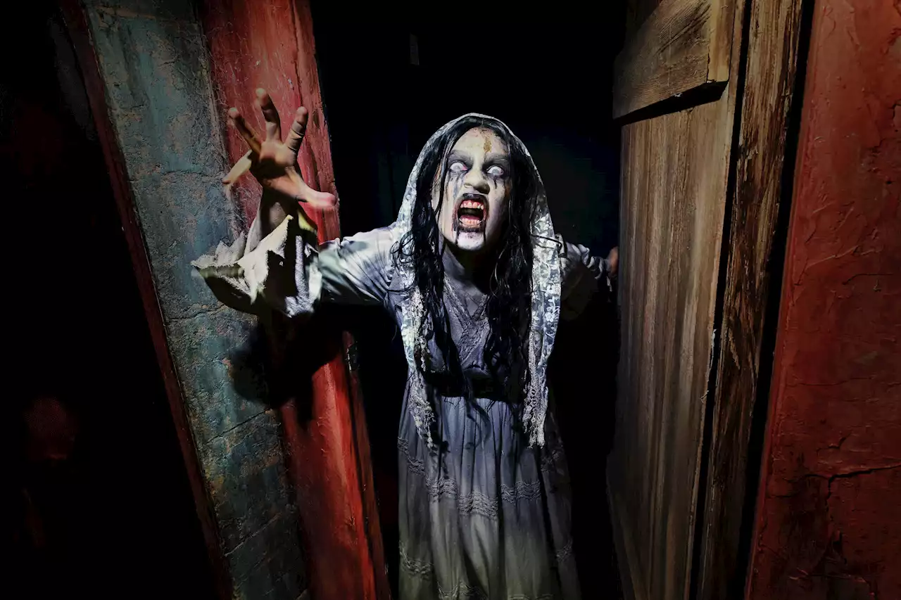 Which Halloween Horror Nights is better, Universal Orlando or Hollywood?