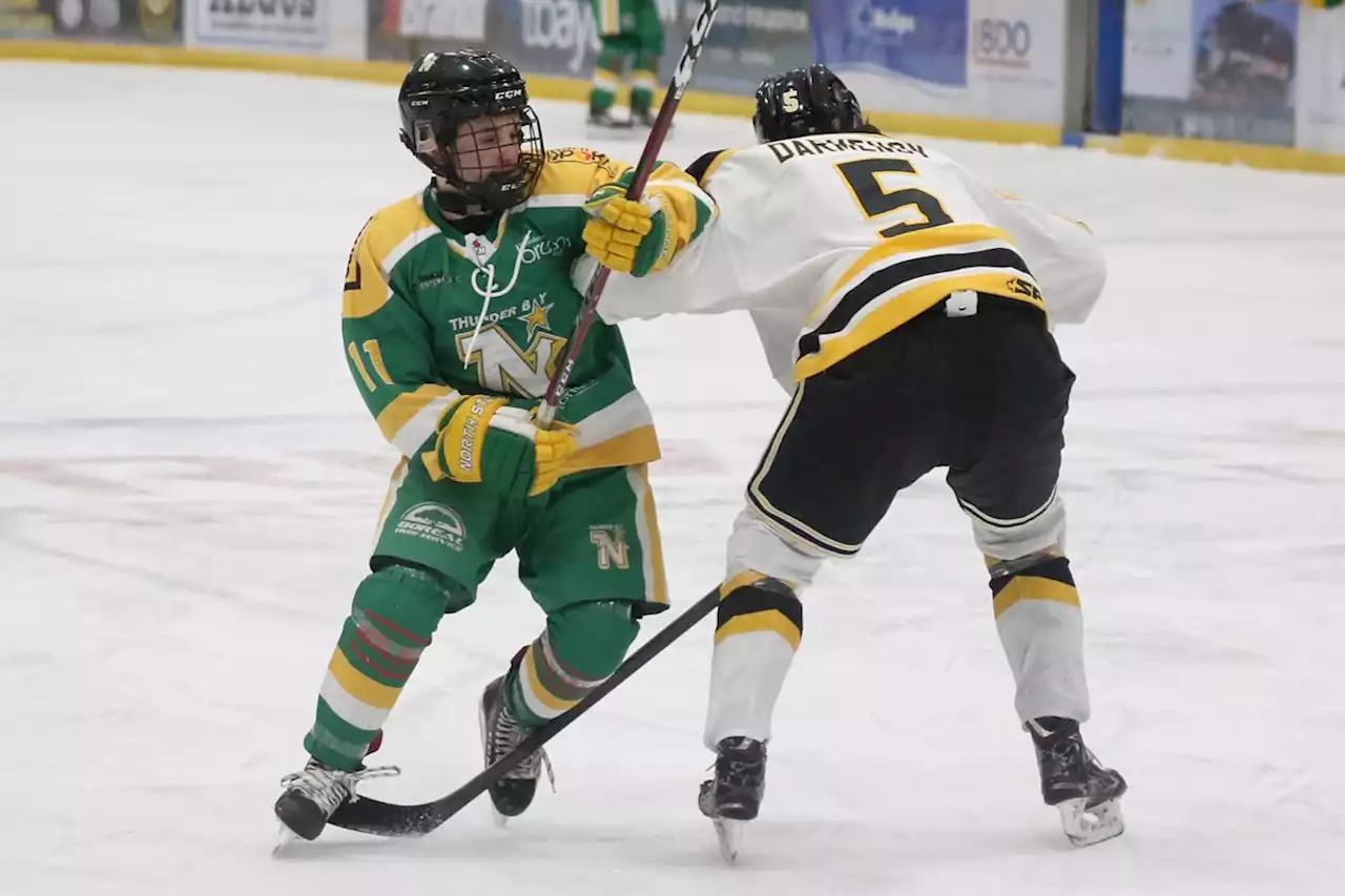 Stars, Walleye pick up SIJHL wins