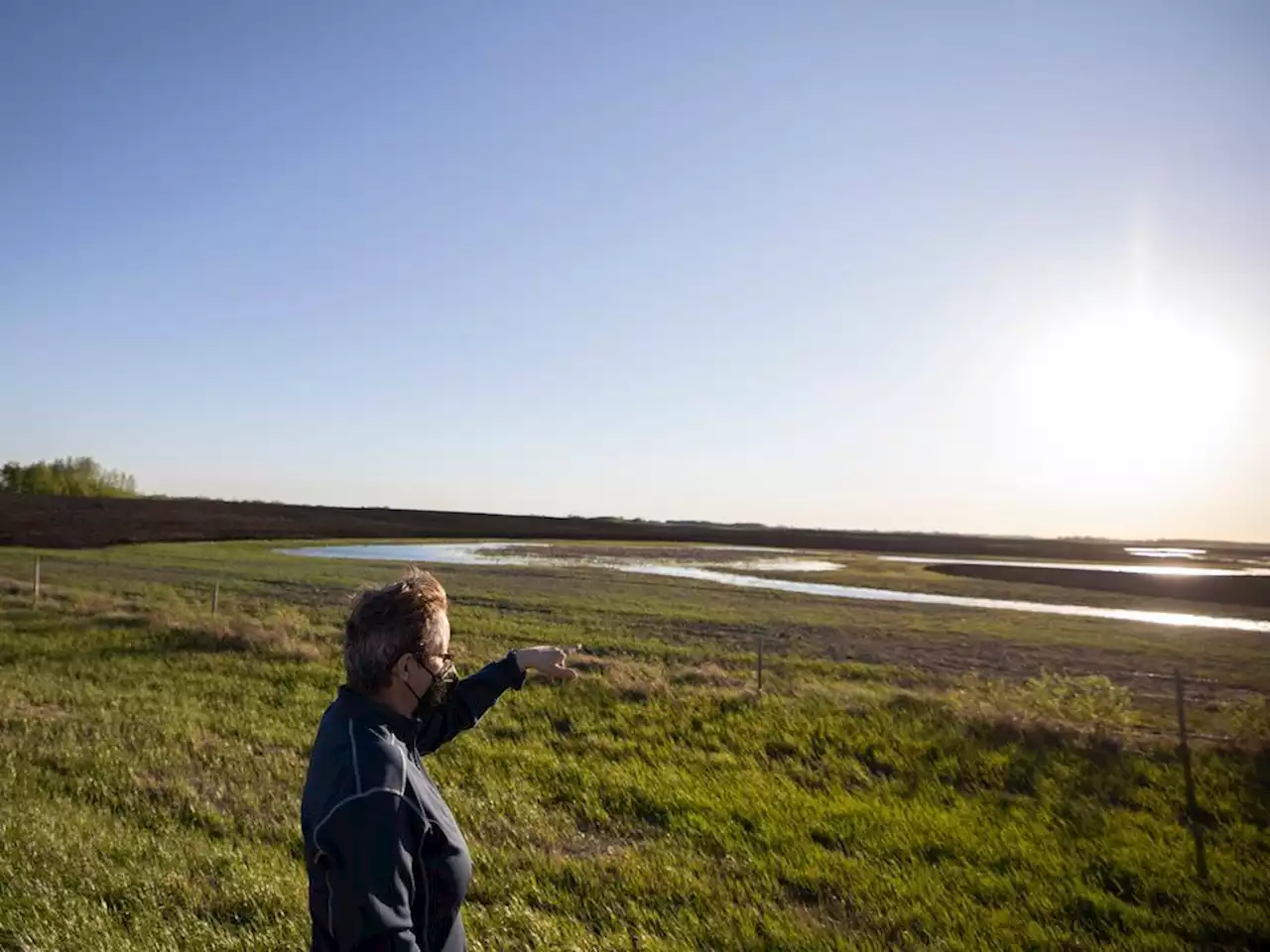 Drained: Sask. farmer fights for creek in wild west of illegal drainage