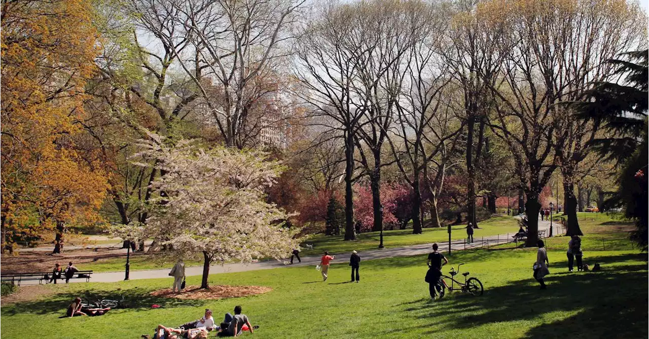 Visualizing how cool it is to be green