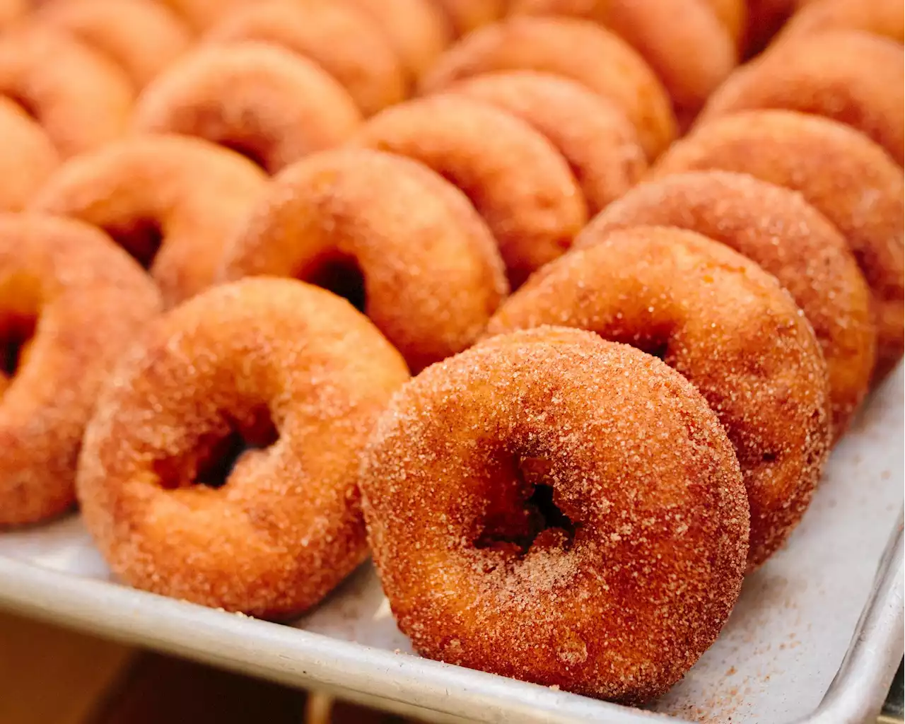 Where to Find Apple Cider Doughnuts Around the DC Area - Washingtonian